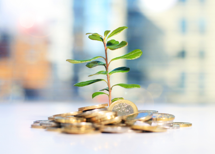 Risparmio e investimento​